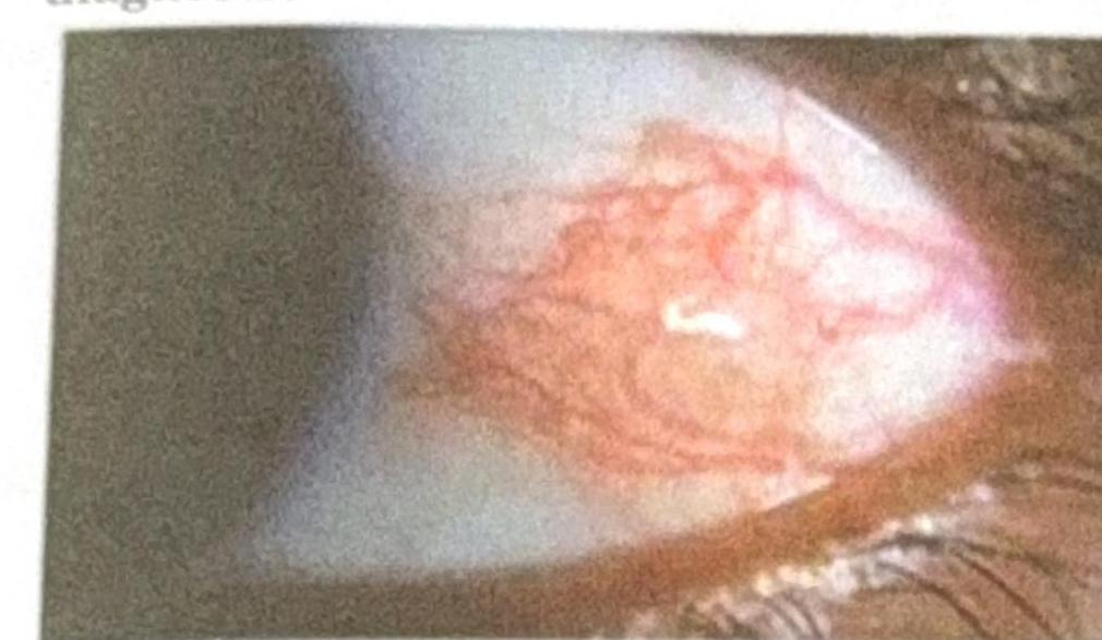 Image for question 5