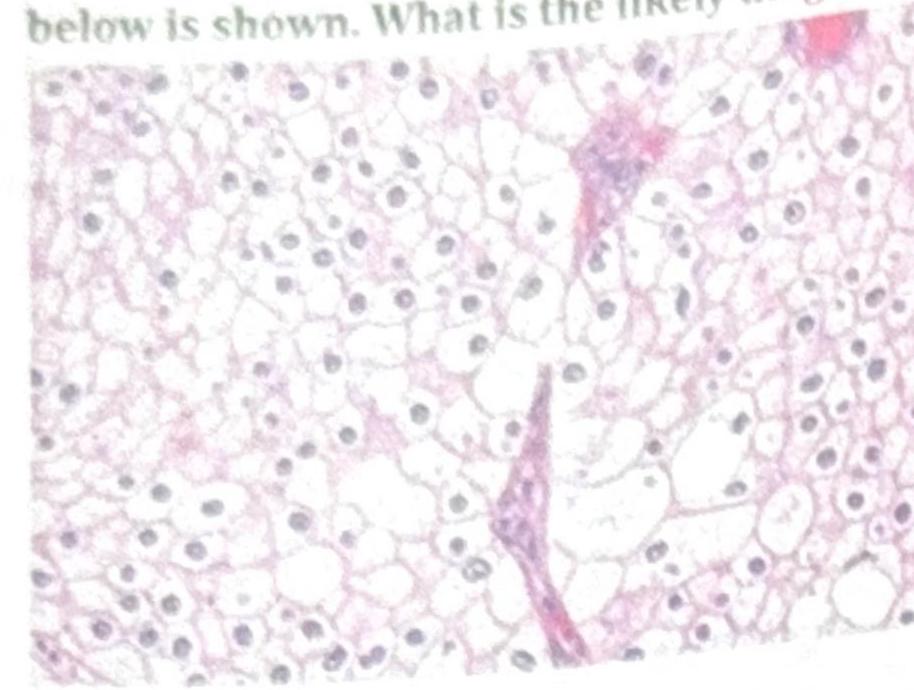 Image for question 10