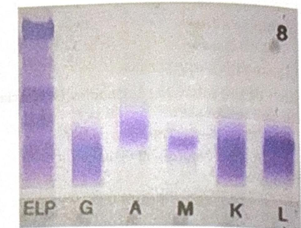 Image for question 1