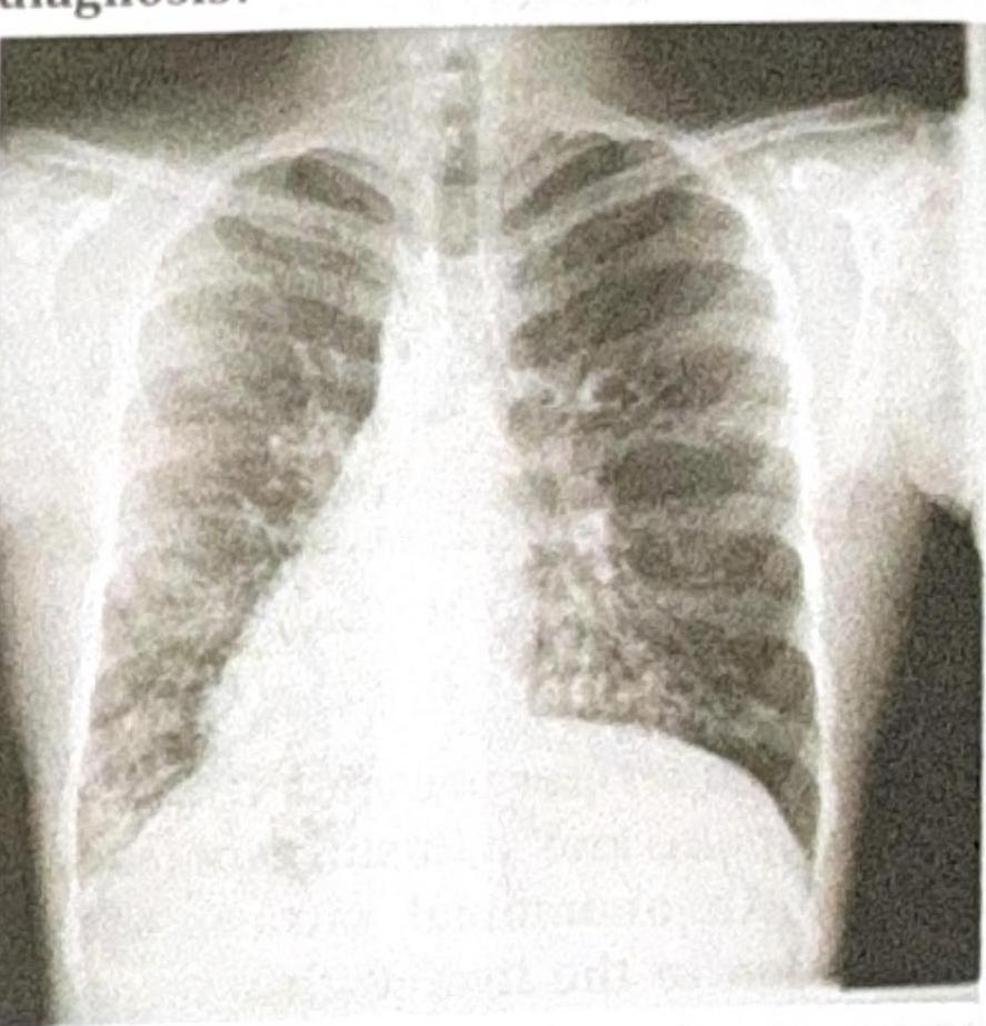 Image for question 8