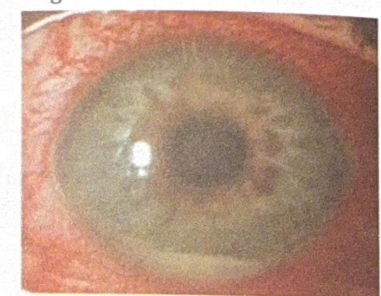 Image for question 8