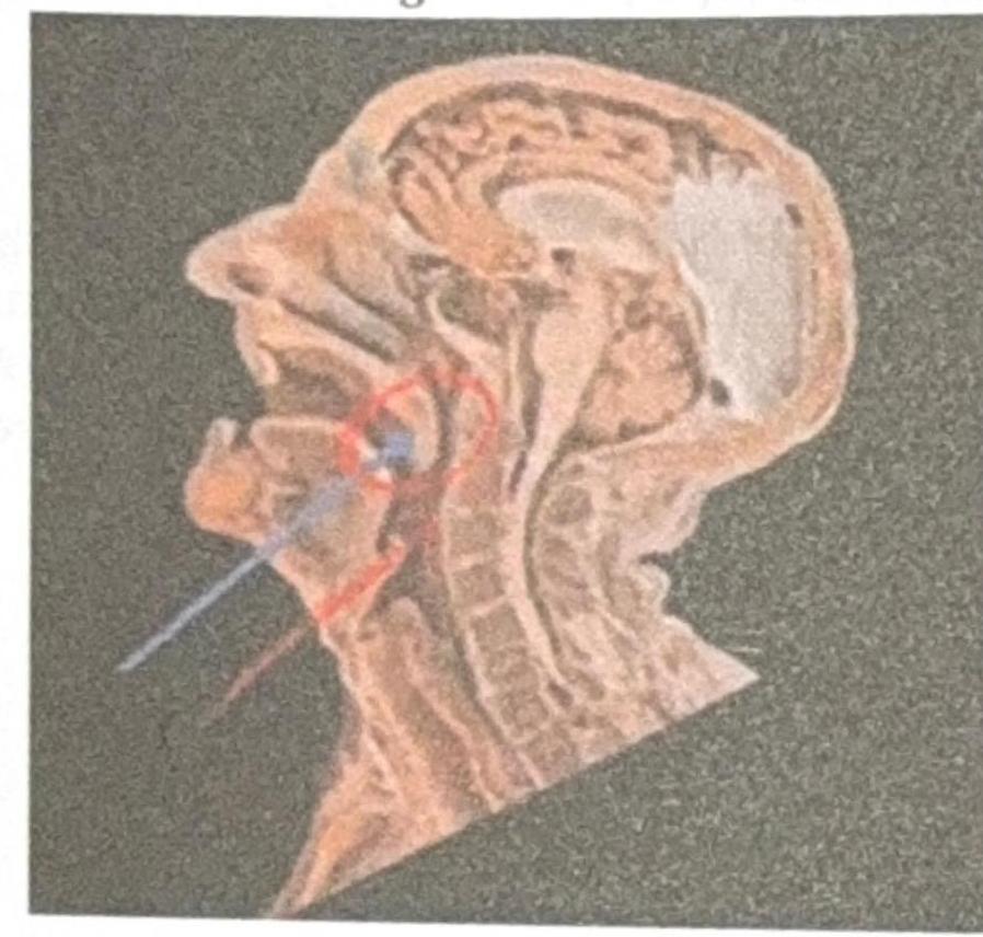 Image for question 7