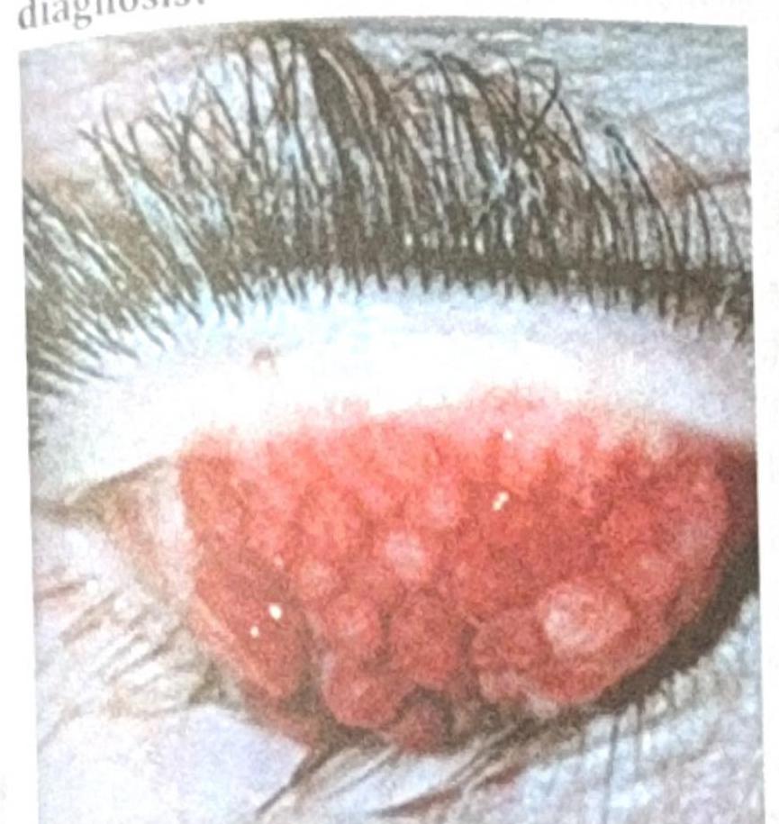 Image for question 5