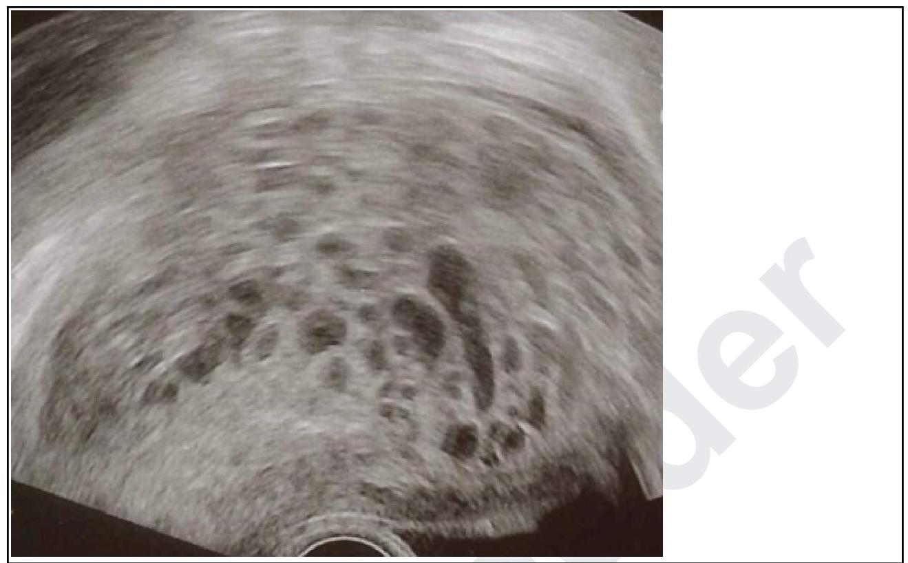 Image for question 2