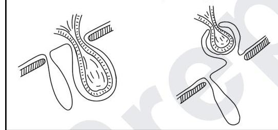 Image for question 3