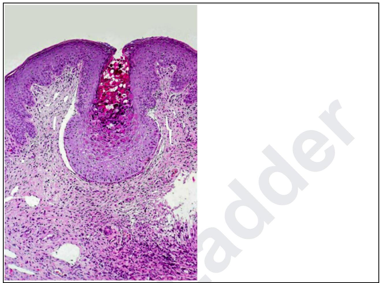 Image for question 1