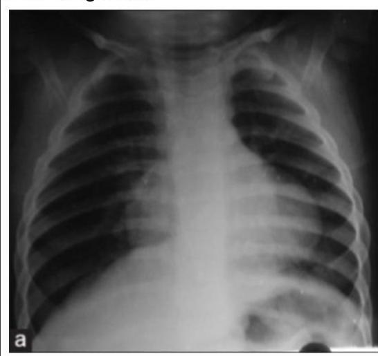 Image for question 7