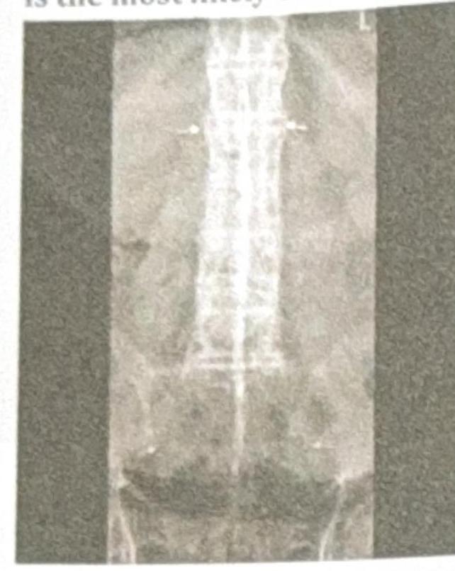 Image for question 8