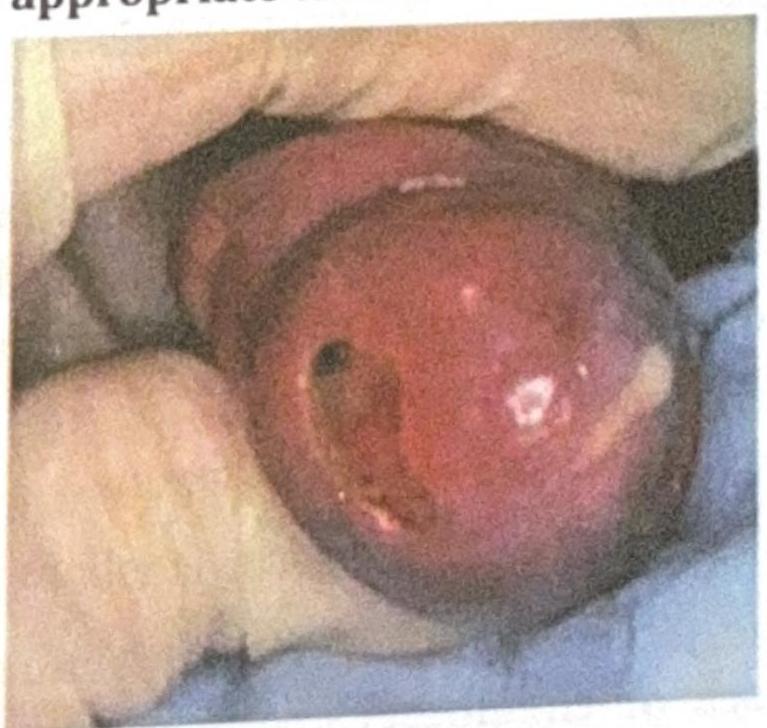 Image for question 6