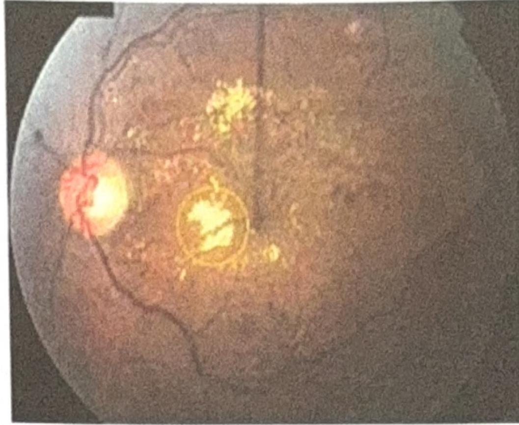 Image for question 5