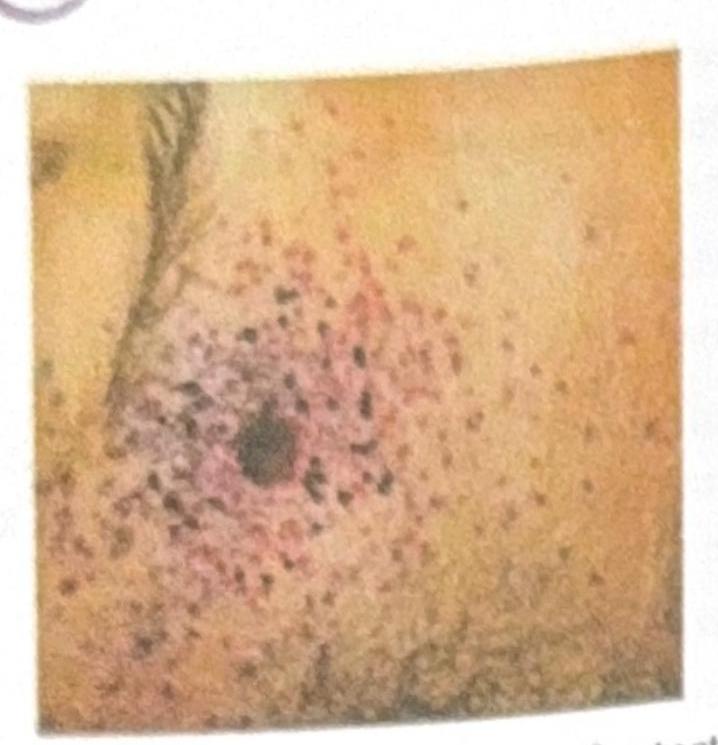 Image for question 3