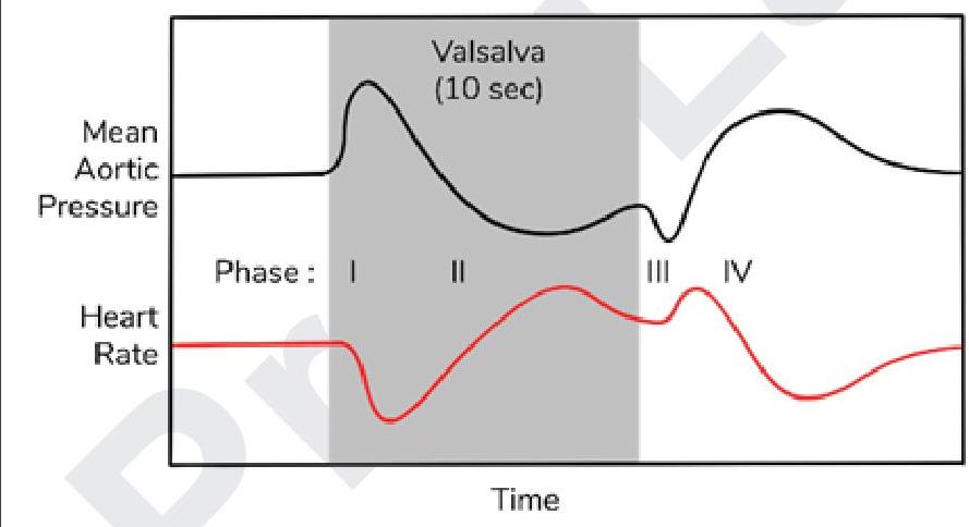 Image for question 10