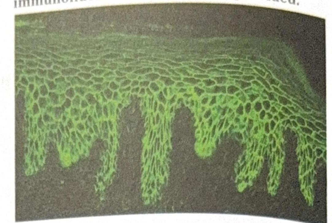 Image for question 2