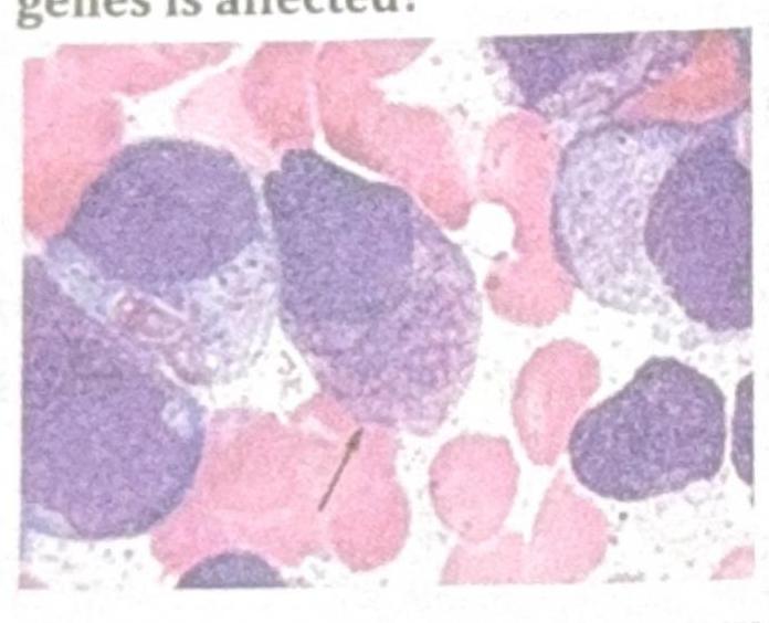 Image for question 5