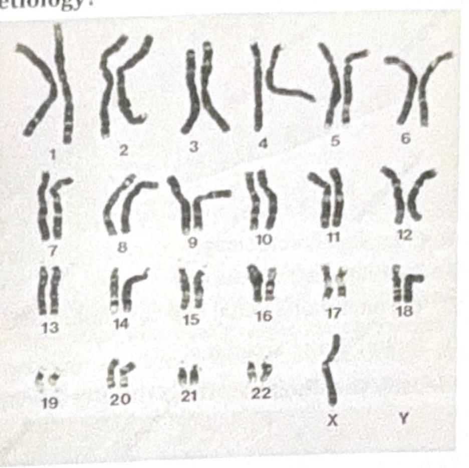 Image for question 3