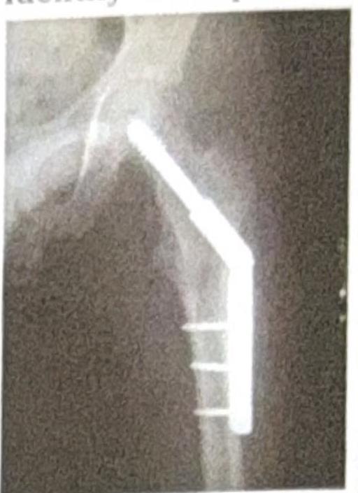 Image for question 7