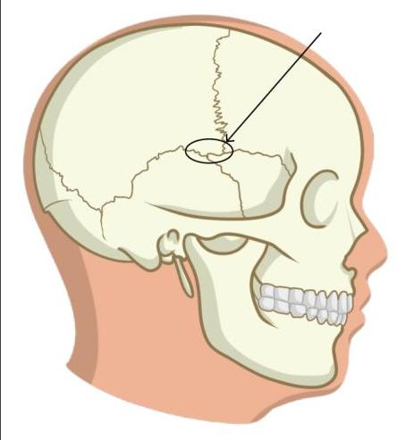 Image for question 4