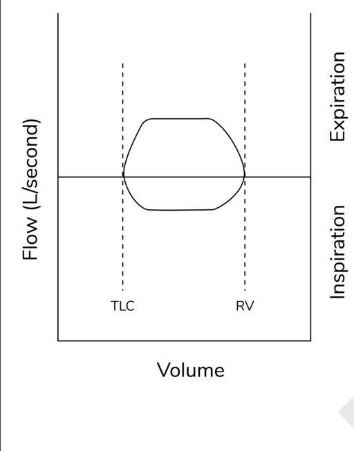 Image for question 1
