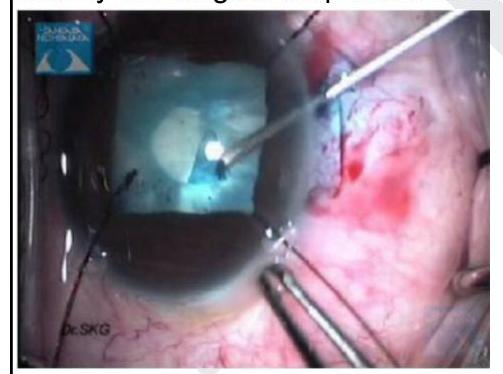 Image for question 6