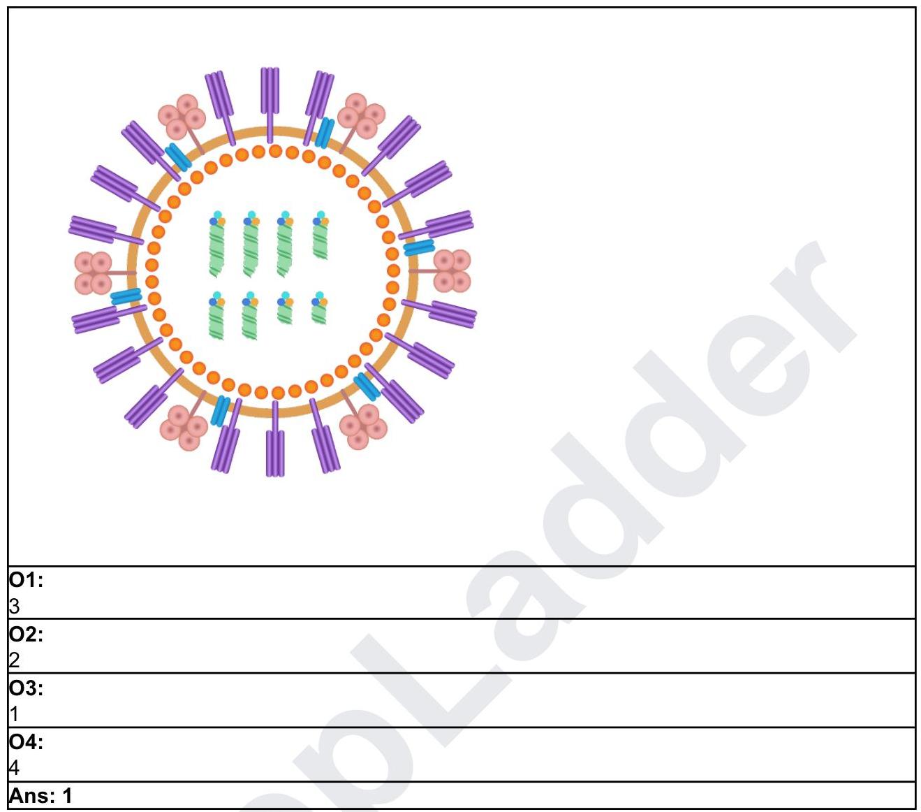 Image for question 1