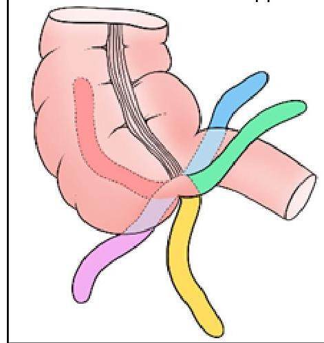 Image for question 1