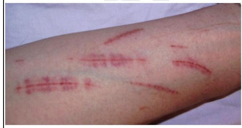 Image for question 242