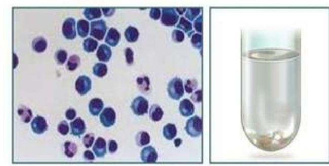 Image for question 1