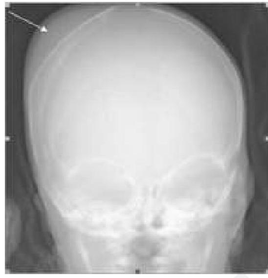 Image for question 5