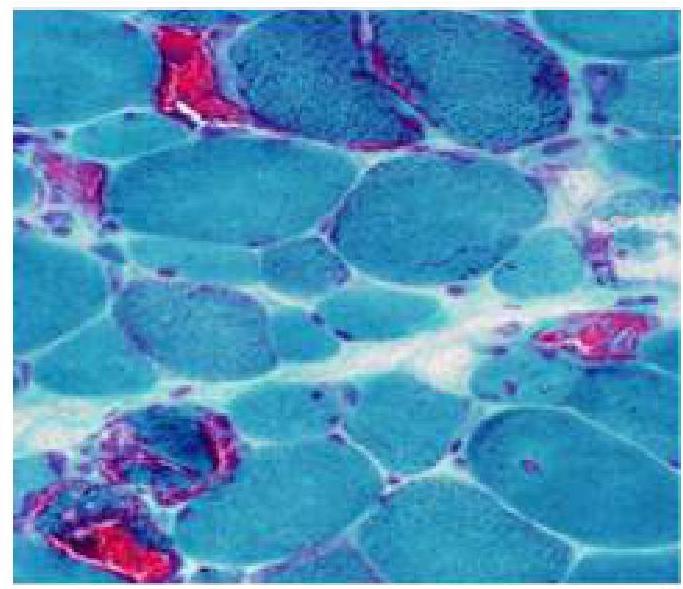 Image for question 10