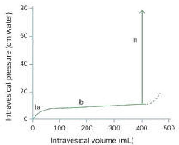 Image for question 5