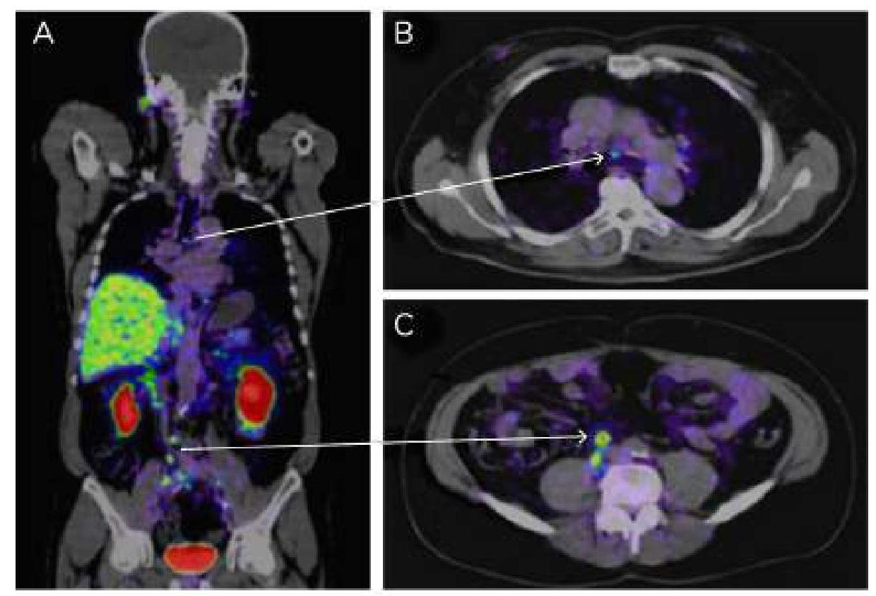 Image for question 8