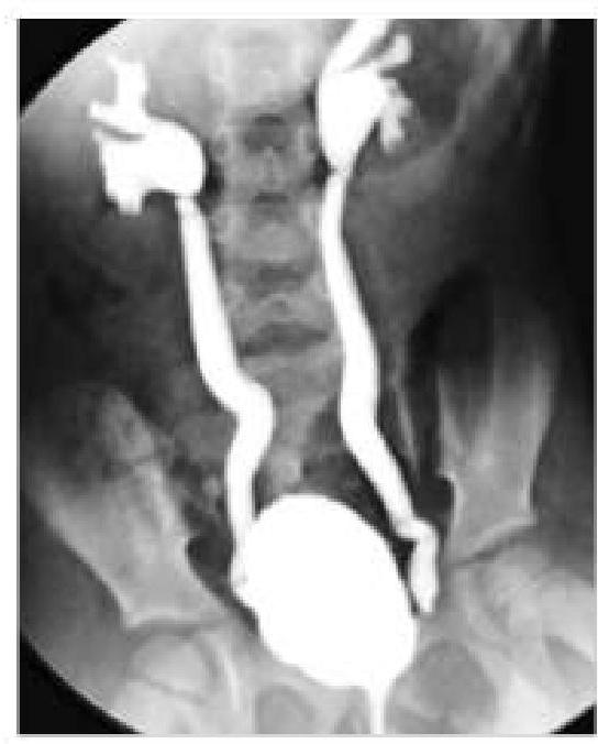 Image for question 9