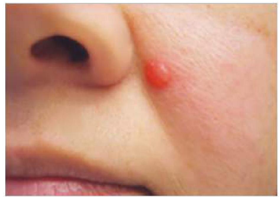 Image for question 5