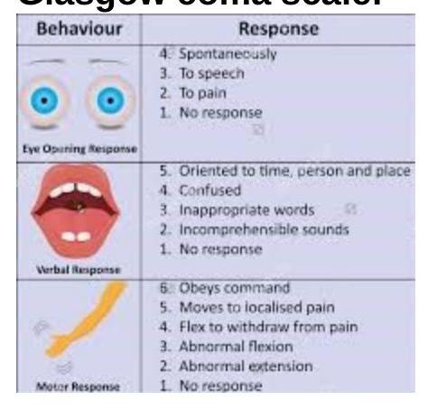 Image for question 10