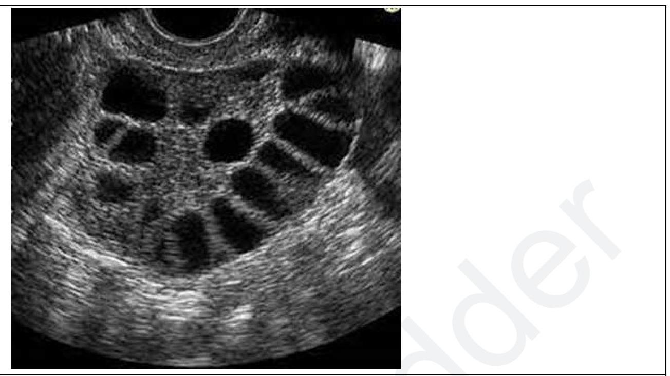 Image for question 9