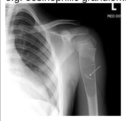 Image for question 8