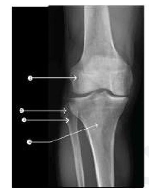 Image for question 4