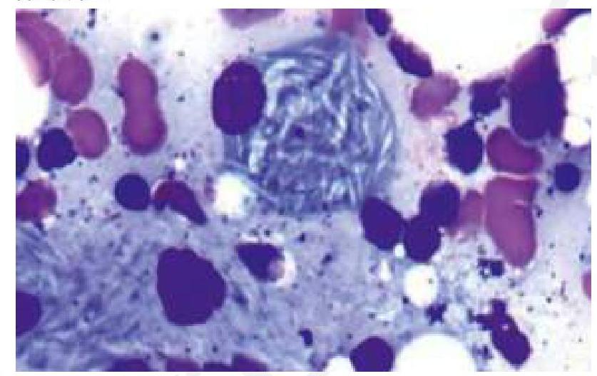 Image for question 1