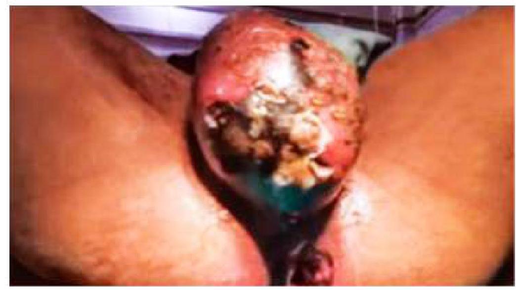 Image for question 4