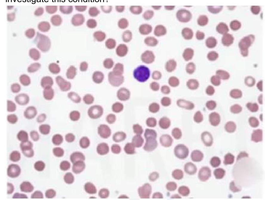 Image for question 5