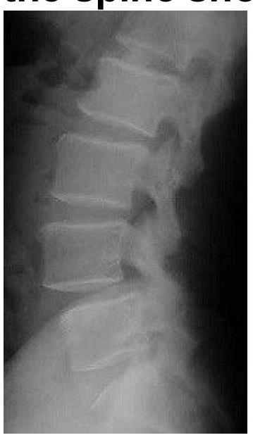 Image for question 8