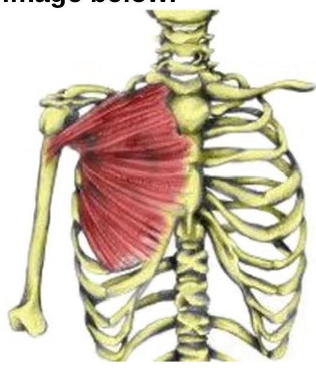 Image for question 9