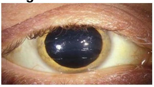 Image for question 1