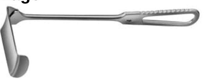 Image for question 9