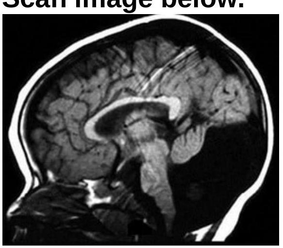 Image for question 7