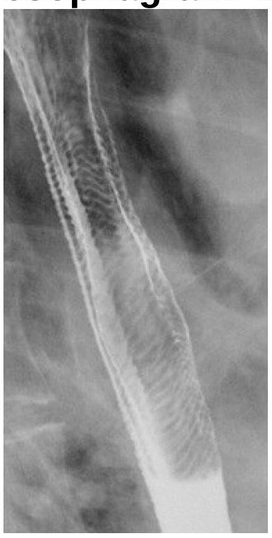 Image for question 6