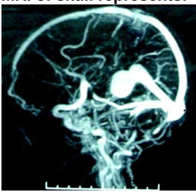 Image for question 8