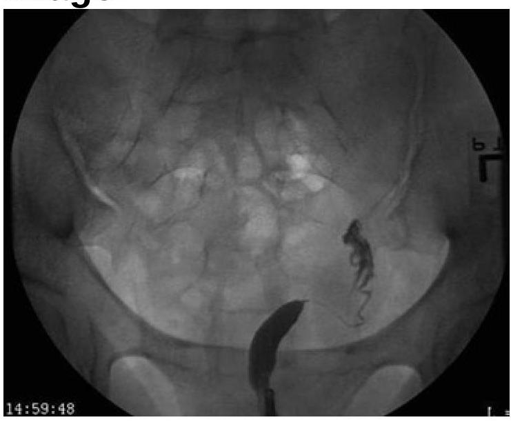 Image for question 1