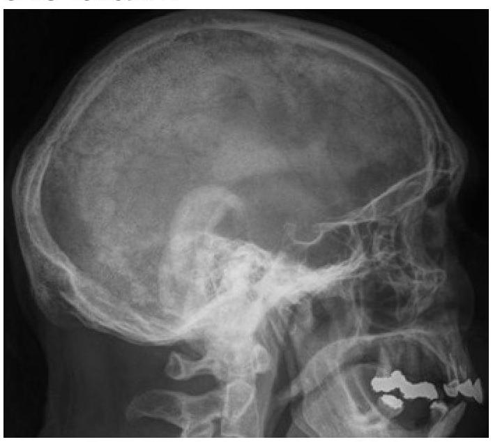 Image for question 9