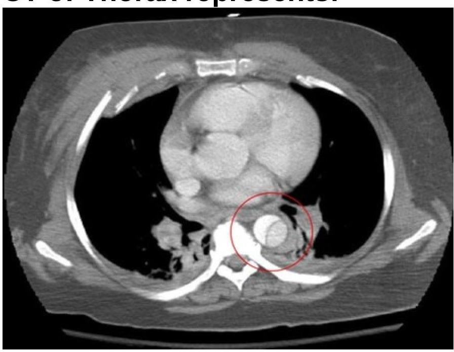 Image for question 10